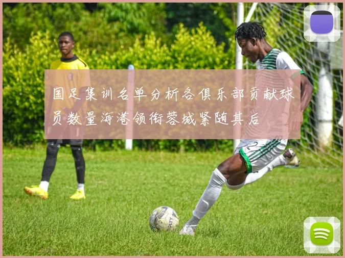 国足集训名单分析各俱乐部贡献球员数量海港领衔蓉城紧随其后