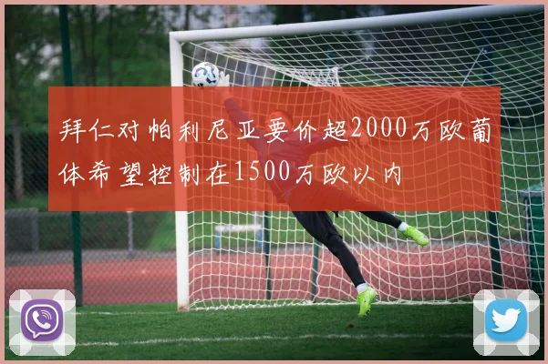 拜仁对帕利尼亚要价超2000万欧葡体希望控制在1500万欧以内